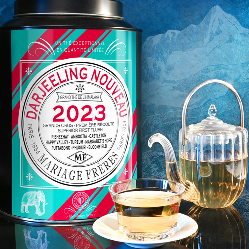 Himalaya : Darjeeling