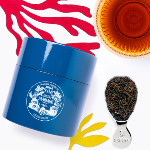 TEA PARTY BLU & MARCO POLO