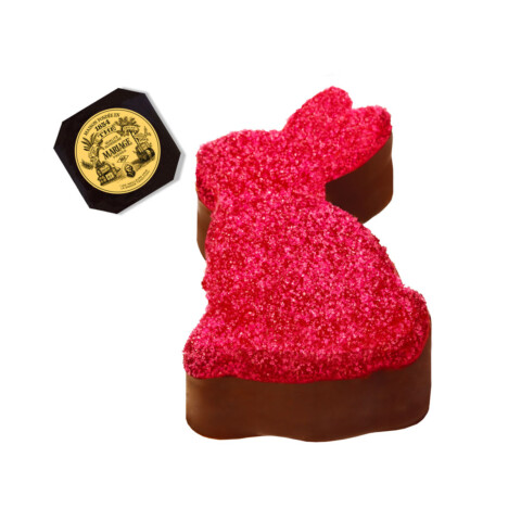 LAPIN JOYEUX