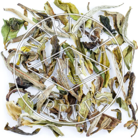 DARJEELING AMOUR™