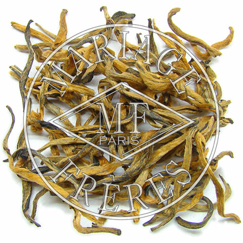 AIGUILLES D'OR