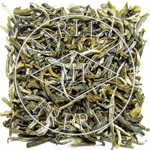 MONTAGNE KONG MING