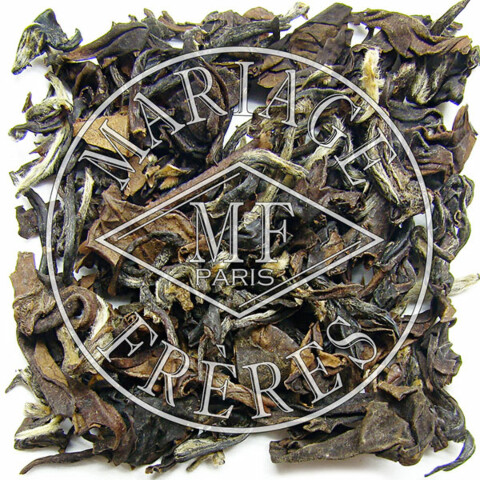 OOLONG FANCY