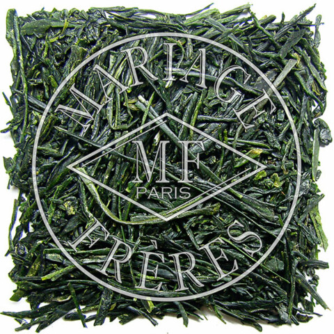 GYOKURO KYOTO
