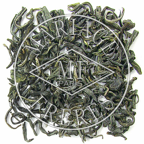 MIYAZAKI CHA