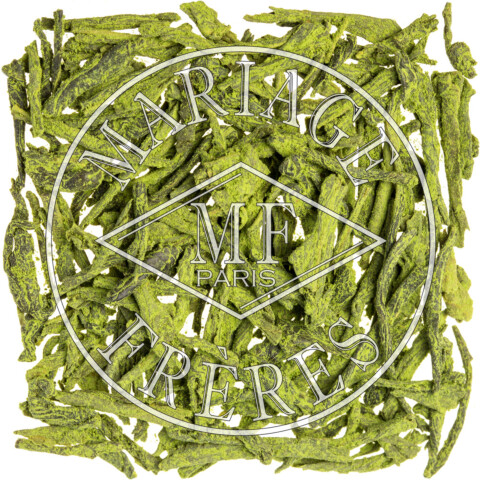 SENCHA MATCHA EMERAUDE 