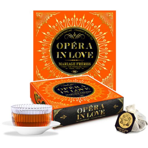 OPÉRA IN LOVE
