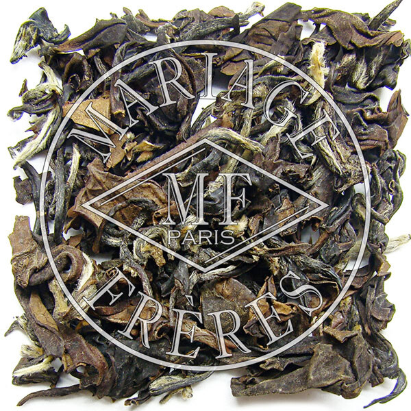 OOLONG FANCY