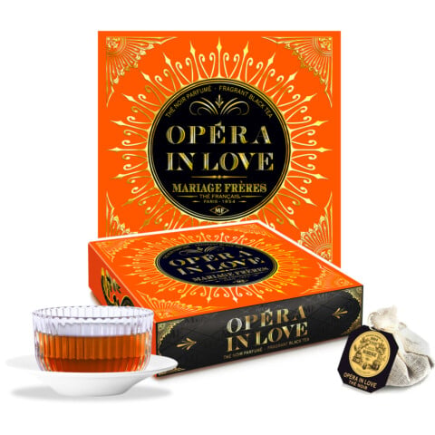 OPÉRA IN LOVE