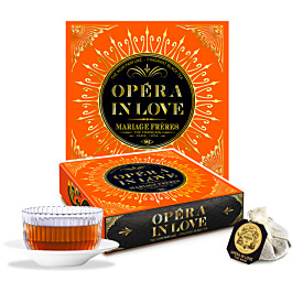 OPÉRA IN LOVE