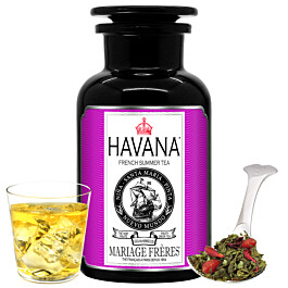 tfg995.jpg