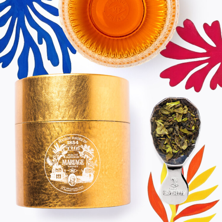 TEA PARTY DORATA & CASABLANCA