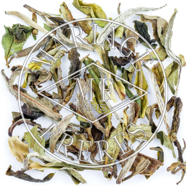 DARJEELING AMOUR™