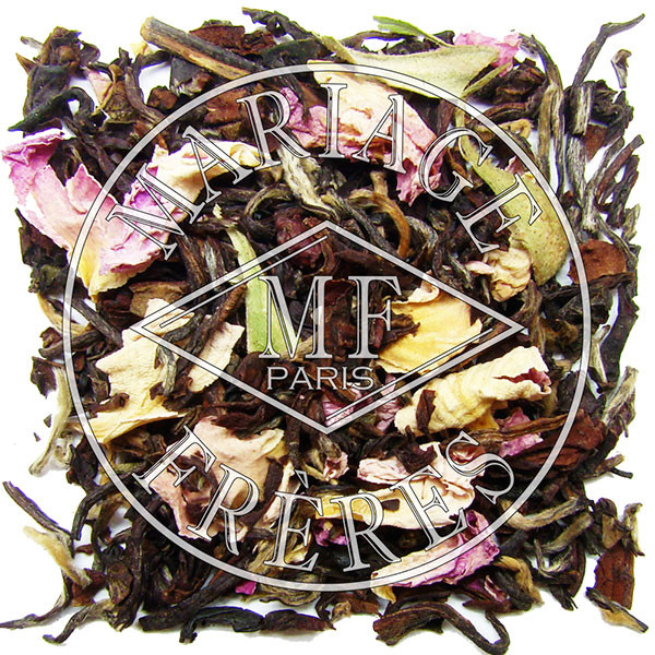 DARJEELING ROSE CAMÉLIA™