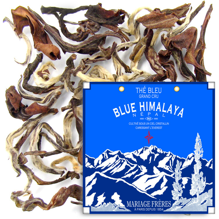 BLUE HIMALAYA