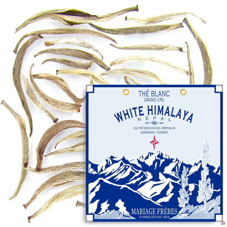 WHITE HIMALAYA