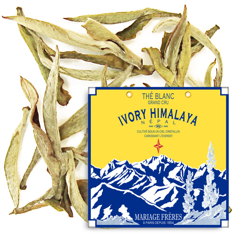 IVORY HIMALAYA™