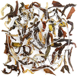 AMBOOTIA,FTGFOP1 Liqueur