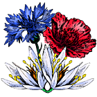 Fleurs
