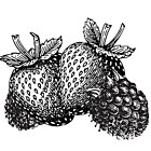 Fruits rouges
