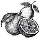 Agrumes