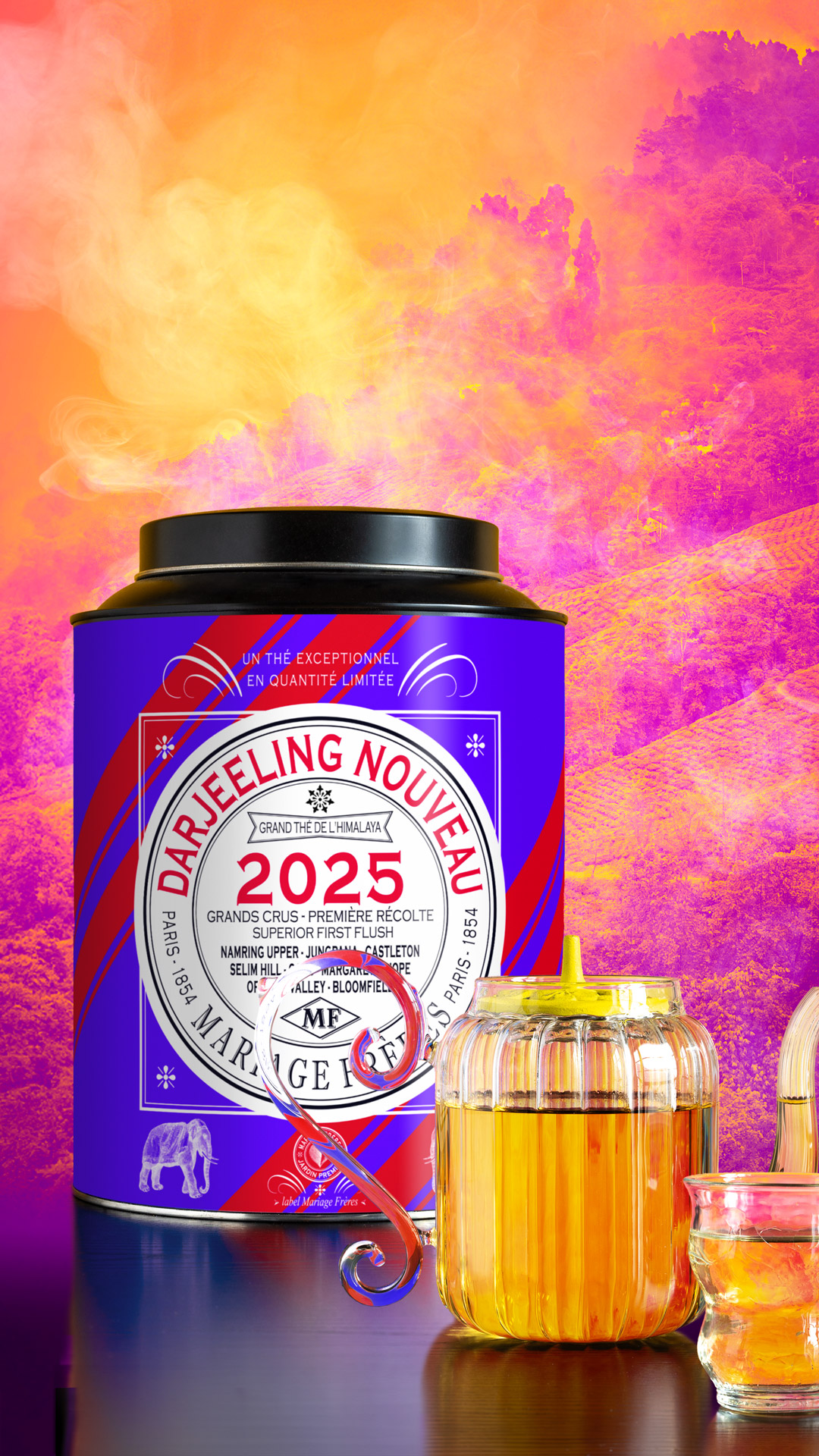 Darjeeling Nouveau <br>2025